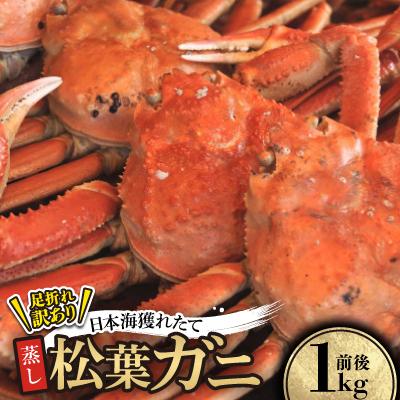 ふるさと納税 智頭町 【先行予約】訳あり足が折れた蒸し松葉ガニ1kg前後　※11月中旬から順次発送