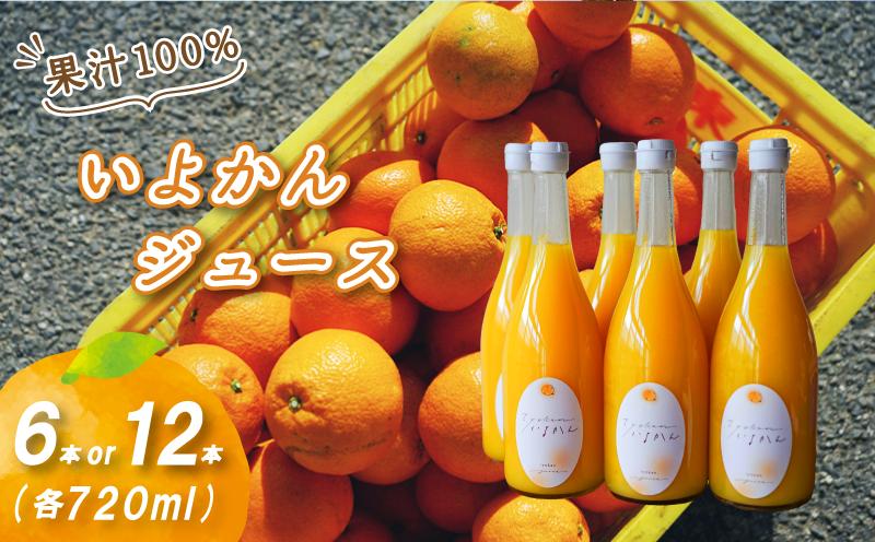 
            いよかんストレート果汁100％ジュース 720ml×6本/12本 | 数量選択可 果汁100% 無添加 伊予柑 ストレートジュース 数量選択可 | みかんジュース 果汁100% みかんジュース いよかん ストレート 100% ジュース 柑橘 果汁飲料 みかんジュース NPO法人農音 愛媛県 松山市 中島
          