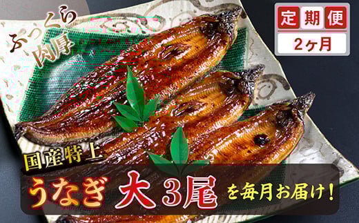 【定期便２回】国産！特上うなぎのかば焼き 約200g × 3尾× 2回お届け （毎月お届け）