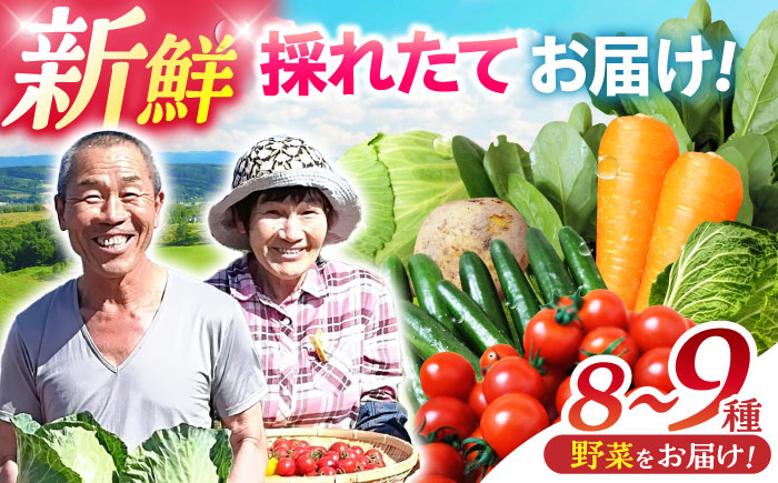 諫早産野菜の詰め合わせ(8～9品目程度) / 季節 旬 野菜 春野菜 夏野菜 秋野菜  / 諫早市 / 肥前グローカル株式会社 [AHDI004]