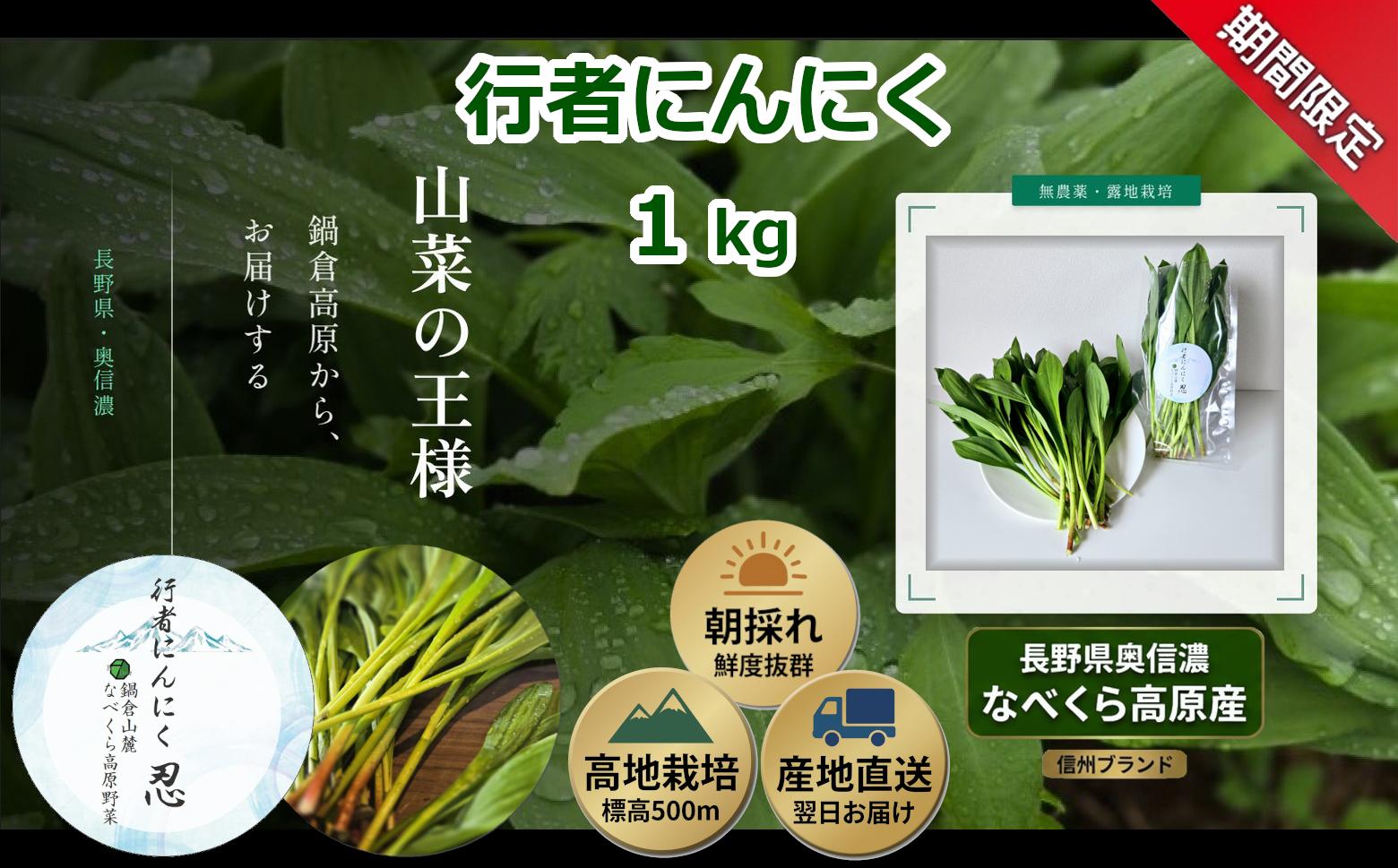 
                  【期間限定】行者にんにく 忍 1kg入り　1箱(140枚～150枚)《出荷時期：2026年5月中旬頃〜》株式会社ForestDoor｜長野県 飯山市 信州 新鮮 直送 山菜 ビタミン 健康  (Ce-013)
                