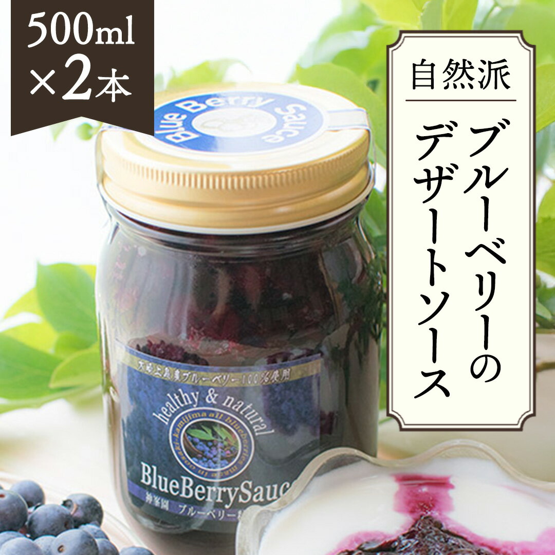 【ふるさと納税】神峯園 ブルーベリー100%デザートソース 500mL 2本 セット 広島県 大崎上島町 瀬戸内 離島 国産 果物 ギフト 送料無料 産地直送