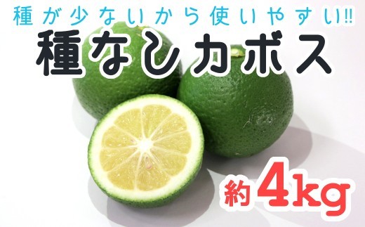 
                  【先行予約】種が少ないから使いやすい！佐々木さんの「種無し（小種）かぼす」約4kg
                