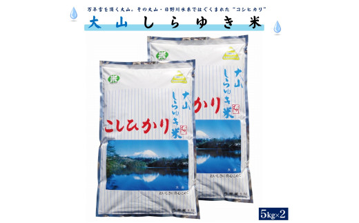 令和6年産 大山しらゆき米10kg（精白、コシヒカリ、5kg×2）