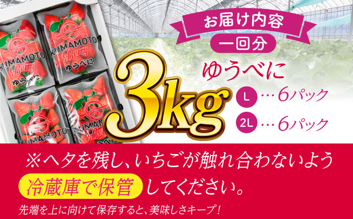 《4月より発送開始》 【3回定期便】 大粒いちご L～2L ゆうべに 3kg（12pc）【熊本ベリー】 [ZER027]