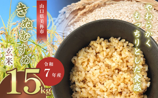 令和7年度産 新米きぬむすめ 玄米15kg 先行予約 ＜ 2025年9月中旬より順次発送予定 ＞ ｜ 米 精米 新米 玄米 米 雑穀 お米 コメ 単一米 きぬむすめ 絹娘  山口 美祢 秋吉台 15kg 