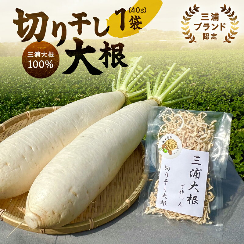 【ふるさと納税】 三浦大根で作った 切り干し大根 40g 切り干し 大根 切干大根 三浦大根 三浦ブランド 煮物 チヂミ ナムル 料理 天日干し 乾燥 乾物 野菜 ドライ ベジタブル 国産 藤平農園 神奈川県 三浦市 おすすめ ランキング プレゼント ギフト