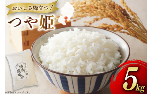 米 令和7年度産 特別栽培米 つや姫 5kg [渡部ファーム 山形県 高畠町 tk06ays810030] お米 白米 精米 ごはん ご飯 ブランド米