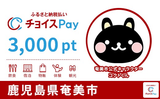 
            奄美市チョイスPay 3,000pt【会員限定のお礼の品】
          