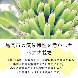『京都はんなりばなな』ジェラートBOX(3種6個入り) 健康 栄養 スイーツ お取り寄せ ギフト 贈り物 人気 アイスクリーム 冷凍 国産 希少 皮まで食べられる バナナ《栽培期間中農薬不使用》