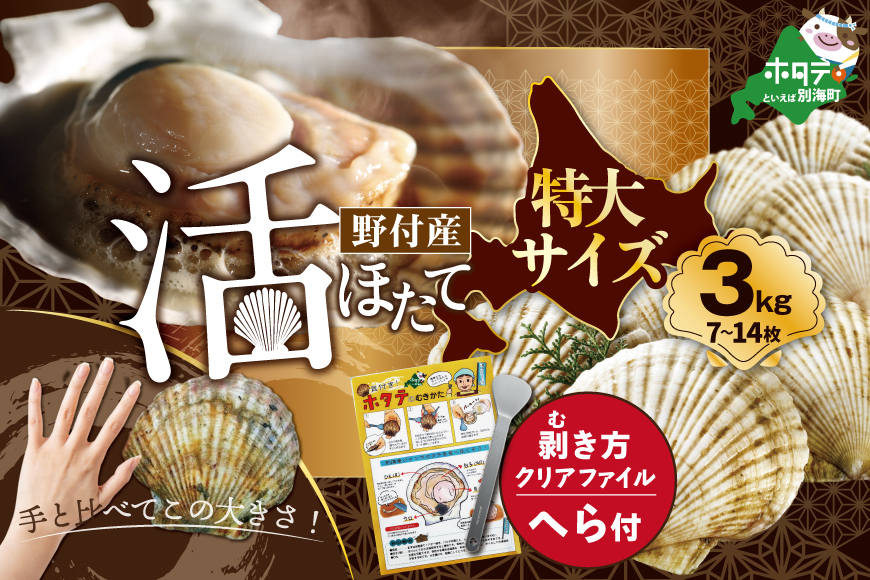 【先行予約】特大活ほたて 3kg相当 7～14枚入り＜朝どり新鮮出荷!＞【KN0000003】( ふるさと納税 ほたて 大玉 生食 活きほたて 生ホタテ 生帆立 生ホタテ貝柱 帆立貝柱 天然 冷蔵 刺身用 生 )