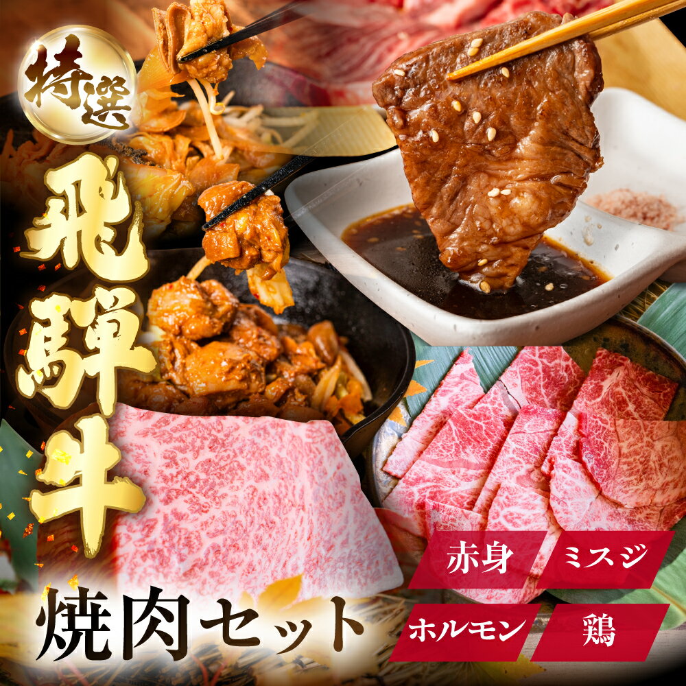 【ふるさと納税】岐阜県 郡上市 ご当地セット盛り合わせ 飛騨牛 いちぼ みすじ ホルモン けいちゃん / 食品 精肉 肉加工品 牛肉 その他 45000円