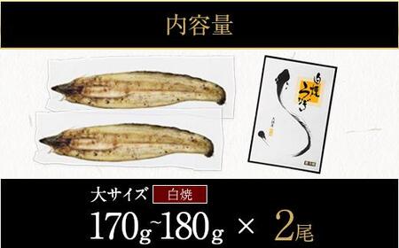 鹿児島県大隅産 千歳鰻の白焼鰻「大」2尾