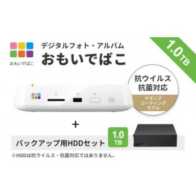 ふるさと納税 日進市 BUFFALO おもいでばこ バックアップセット 4K Wi-Fi6対応モデル 1TB