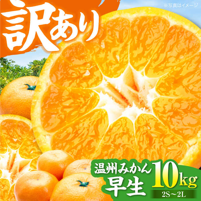 【ふるさと納税】【先行予約】【11月中旬より順次発送】【ちょっと訳あり】 温州みかん 10kg | 人気 おすすめ ランキング おいしい 甘い 早生 柑橘 大洲市/有限会社カーム/カームシトラス[AGBW007] 10000 10000円 以上