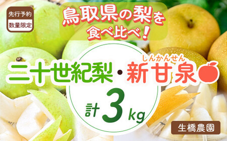 新甘泉と二十世紀梨の食べ比べセット【鳥取県産】３ｋｇ（生橋農園） 鳥取 梨 3kg 果物 フルーツ 和梨 先行予約 数量限定 詰め合わせ 新甘泉 二十世紀梨 20世紀梨 梨 梨 梨 梨 梨 梨