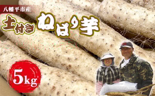 ＜12月発送開始予定＞ 岩手県産 土付き ねばり芋 5kg 【松浦農園】 ／ 長いも 長芋 ながいも ねばり芋 ねばりいも 山芋 やまいも 山いも やま芋 農家直送 産地直送 とろろ とろろご飯 ご飯のおとも ご飯のお供 やまかけ 山かけ 旬 新鮮 野菜 八幡平市産