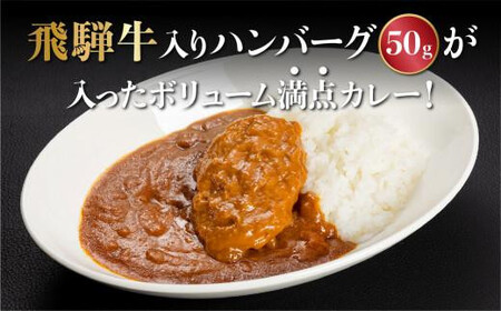 飛騨牛ハンバーグカレー  200ｇ×6袋＆豚の角煮180g×6袋 飛騨高山牧場 HG012| レトルトカレー 豚の角煮