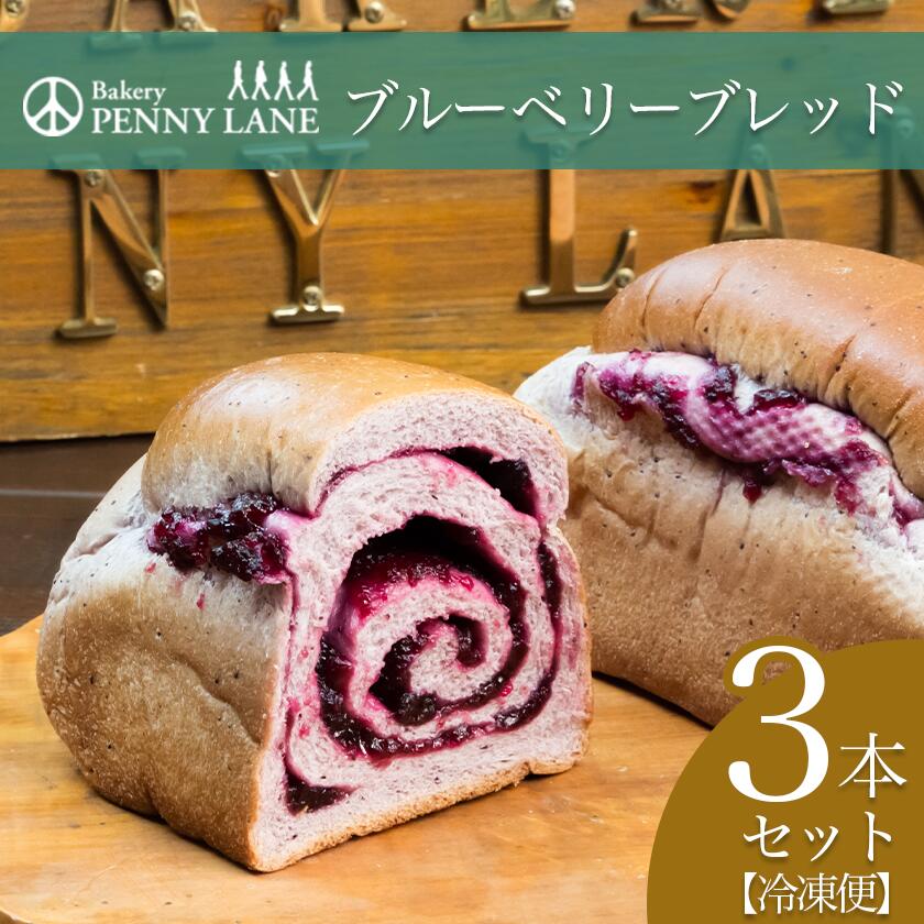 【ふるさと納税】ペニーレインのブルーベリーブレッド3本セット | 茨城県 つくば市 パン パン屋 茨城県 つくば市 ブルーベリー 冷凍パン お取り寄せ 人気 おすすめ ベーカリー グルメ プレゼント レストラン ドッグラン 冷凍 冷凍便