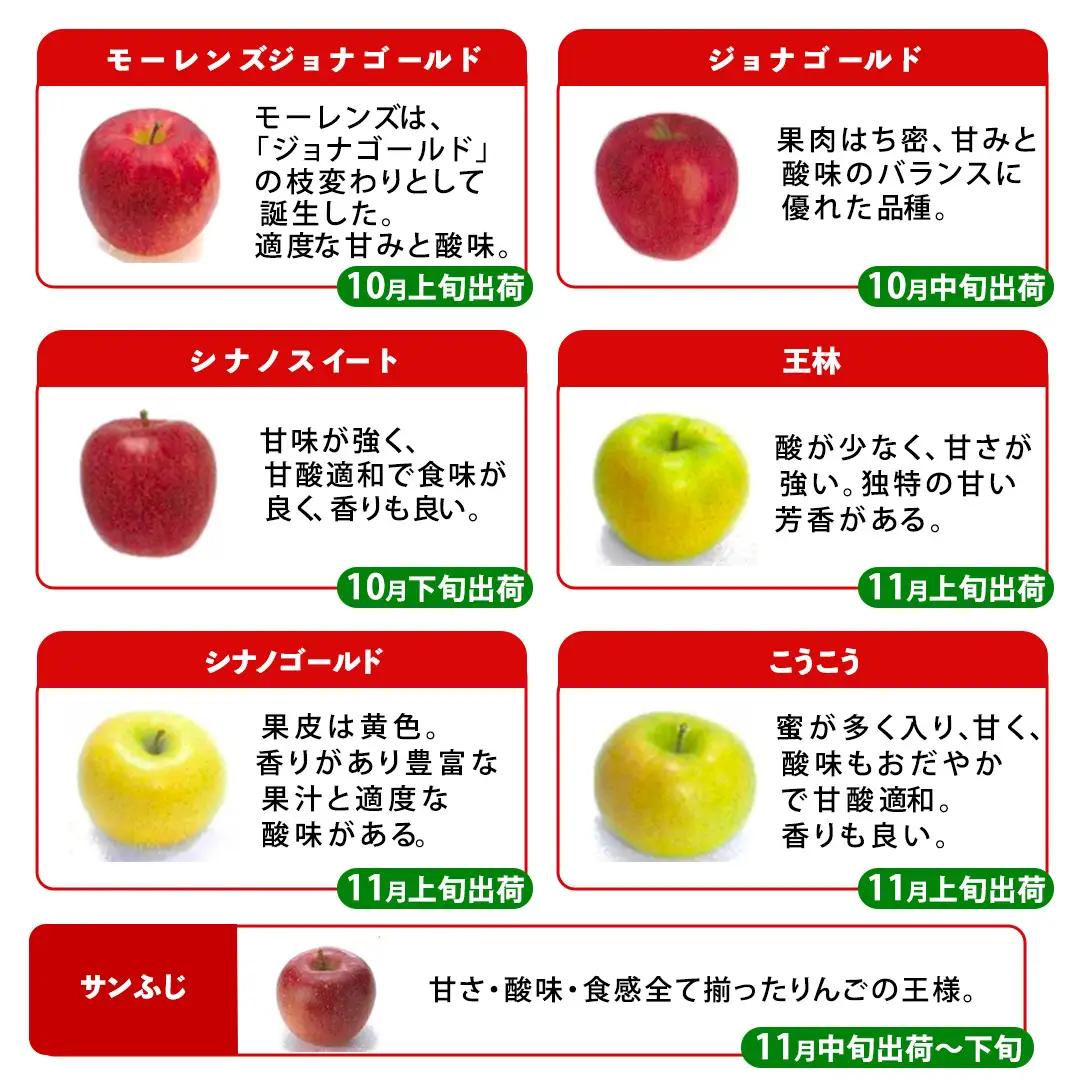 【ご家庭用】りんご 品種おまかせ 2種Mix 3kg（6～11玉） (FH001)