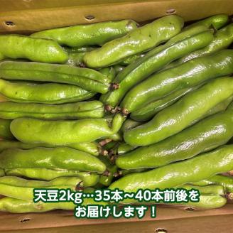 天豆2㎏【令和4年3月から順次お届け】田舎の頑固おやじが厳選！