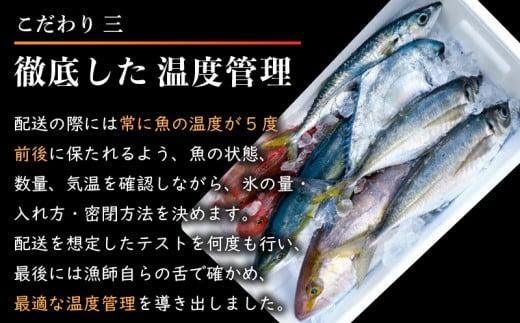 【船上神経締め鮮魚ボックス】朝獲れ直送 3~5種入り （2026年8月出荷) 冷蔵 魚種お任せ 水揚げ 海鮮 魚介 産地直送 新鮮 天然 魚 詰め合わせ