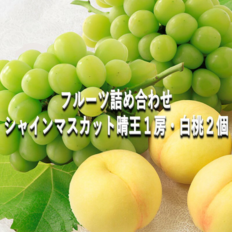 【ふるさと納税】桃 ぶどう 【2026年 早期受付】 フルーツ詰め合わせ シャインマスカット 晴王 1房・ 白桃 2個 もも ブドウ 葡萄 岡山県産 国産 フルーツ 果物 ギフト　お届け：2026年7月中旬～2026年8月中旬