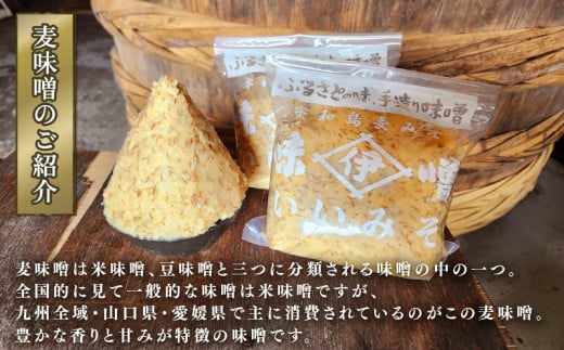 味噌 麦みそ 1kg × 4袋 3回 計 12kg 定期便 井伊商店 全麦麹味噌 天然醸造 非加熱 生味噌 麦みそ みそ 麦味噌 食品 miso お味噌 おみそ 発酵 発酵食品 加工食品 発酵調味料 