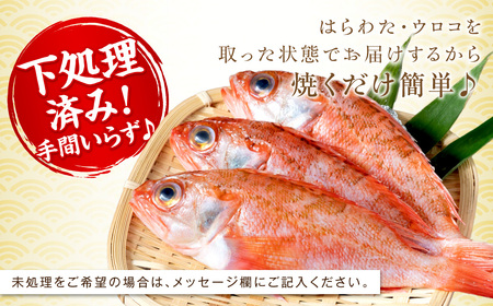 のどぐろ（鮮魚）1.2kg程度 処理済 のどぐろ 【006_2041】