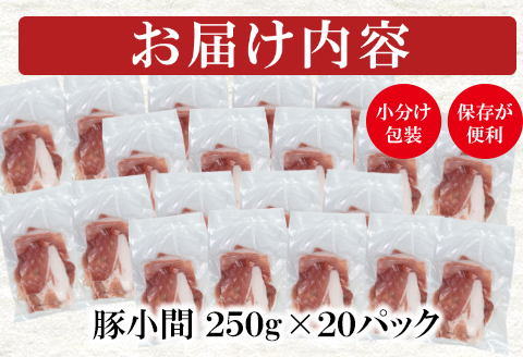 宮崎県産豚肉小間切れ　合計5ｋｇ 小分け（250g×20パック）＜1.7-22＞