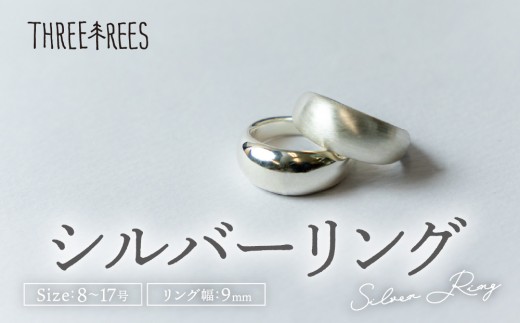 【日常のアクセントに】シルバーリング  LS-01  / 鏡面 / 9号