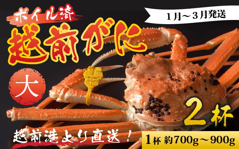 
【先行予約】越前港より直送！ 越前がに 大 (約700g～900g) 2杯 【1月～3月発送予定】
