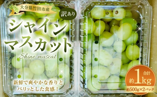 【数量限定】粒パック 訳あり シャインマスカット 約1kg （2パック） 【2026年8月下旬～11月上旬発送開始予定】