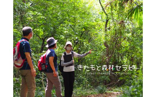 
きたもと森林セラピー 体験コース（1～3名）【森 癒し 森林浴 健康 セラピー 体験 リラックス ストレス軽減】
