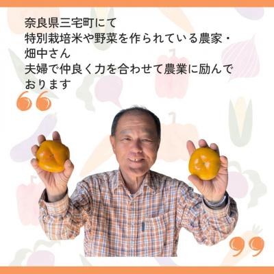ふるさと納税 三宅町 ひらたね柿 たねなし柿 種無し柿 平たね柿 柿 奈良県産5kg カキ 甘い |  | 03