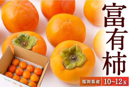 江藤農園 富有柿 10玉から12玉(約3kg) 2024年11月15日から11月30日 出荷予定