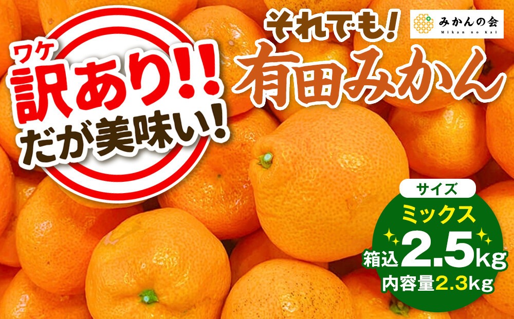 訳あり それでも 有田みかん 箱込 2.5kg (内容量約 2.3kg) サイズミックス B品 有田みかん 和歌山県産 産地直送 家庭用［2025年11月中旬より順次出荷予定］［みかんの会］ AX211