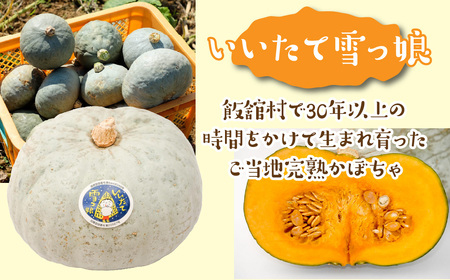 【数量限定・11月頃お届け】飯舘村名物 「いいたて雪っ娘」かぼちゃ（1玉1.2kg以上） ITTAB007