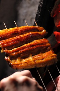 うなぎ うなぎり　4個入り詰合せ（山椒味/茎わさび味）うな菊