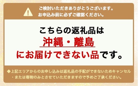 ネックレス プラチナ Pt850 ダブル六面喜平ネックレス 50cm 30g 造幣局検定マーク入り 日本製 アクセサリー メンズ レディース ギフト プレゼント 富山 富山県