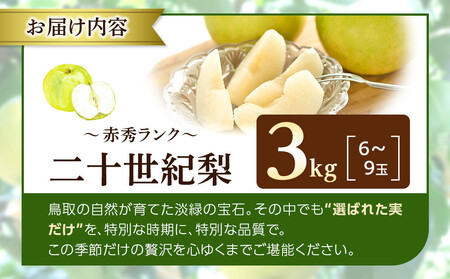 1263.【2026年度発送先行予約】数量限定　二十世紀梨　3kg
