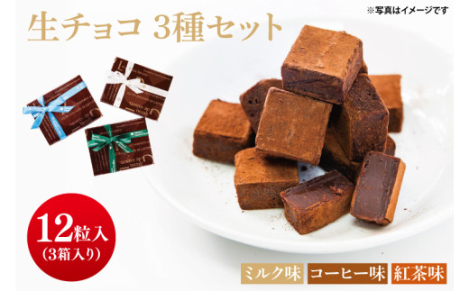 生チョコ ミルク味 コーヒー味 紅茶味 3種チョコレート チョコ ミルク コーヒー 紅茶 お菓子 洋菓子 デザート 贈り物 プレゼント ギフト 珈琲 プレゼント 3種類 ご褒美 贈答用 食べ比べ ベルギー産 北海道産 なめらか ティータイム おやつ ふるさと納税 茨城県 鹿嶋市