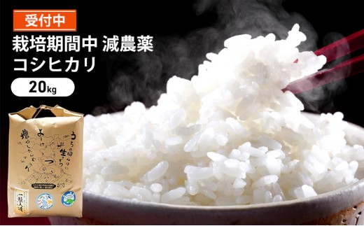 
                  令和6年産 栽培期間中減農薬 コシヒカリ 20kg お米 精米 白米 玄米 ブランド米 銘柄米 ご飯 おにぎり お弁当 和食 産地直送 粘り 香り 旨み つや
                