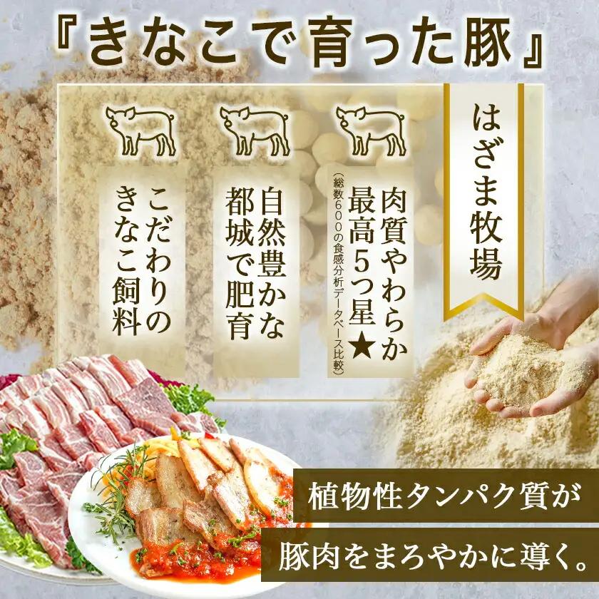 「きなこ豚」焼肉・とんかつセット 計2.1kg〔MJ-1204〕_(都城市) ブランド豚 豚カツ用 トンカツ用(ロース / 肩ロース) 焼き肉用 (豚バラ / 豚肩ロース) 切り落とし 小間切れ