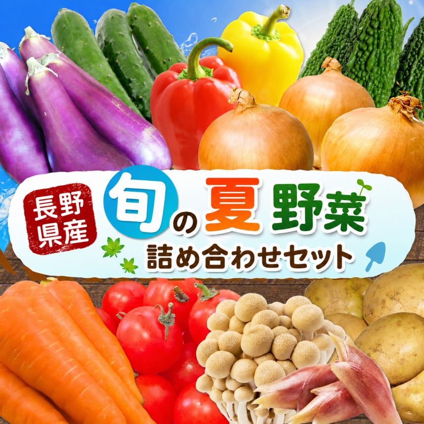 【ふるさと納税】 天龍村 旬の夏野菜 （ 農産物 ）令和8年8月～9月配送予定 | 詰め合わせ セット 野菜 野菜セット 夏野菜 農産物 野菜類 詰合せ セット 長野県 天龍 てんりゅう