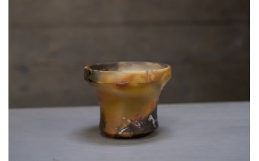 【ふるさと納税】 植木鉢1個 特殊焼成 | 鉢 はち うえきばち 植木 陶器 ガーデニング 観葉植物用 多肉植物用 インテリア プランター 盆栽鉢 ポット フラワーベース 植物用 作家 アーティスト 作品 手仕事 一点もの 芸術 陶芸家 セキグチ タカヒト 埼玉県北本市