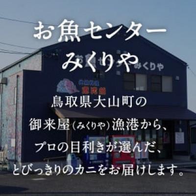ふるさと納税 日南町 OM-31【早期先行予約】訳あり足1本折れボイル松葉ガニ(600g〜700gを1枚)
