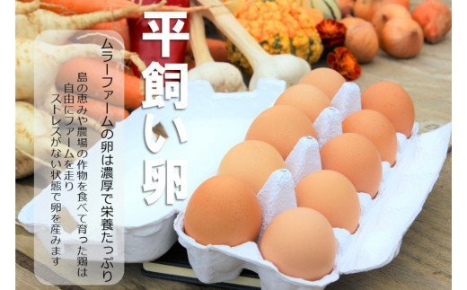 平飼い卵詰め合わせ！40個セット