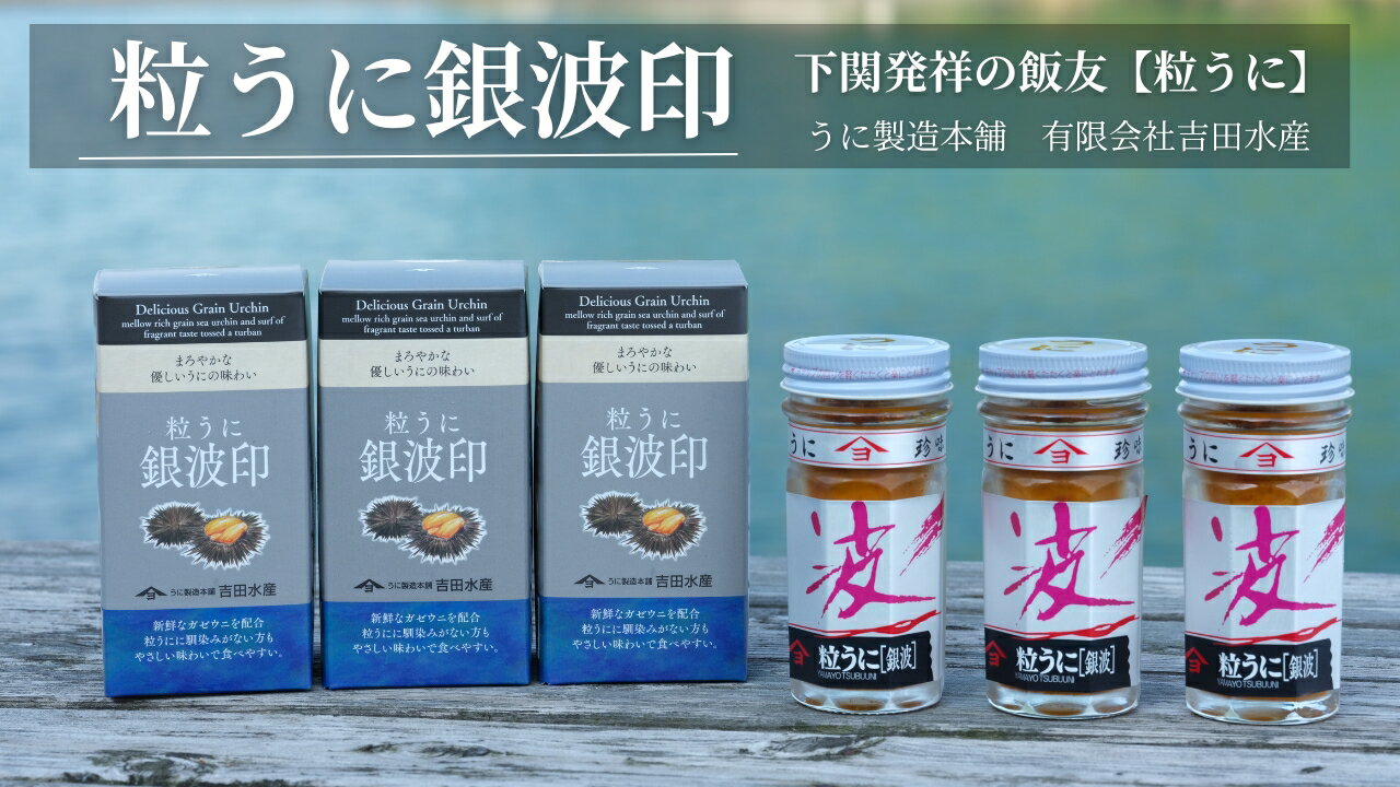 【ふるさと納税】 粒 うに 磯粒 ガゼウニ 銀波印 55g 3本 セット 常温 ギフト 贈答品 下関市 山口
