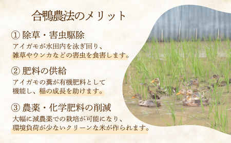 コシヒカリ 玄米 5kg 2週間以内発送 オーガニック あいがも 有機栽培米 合鴨常陸青龍米